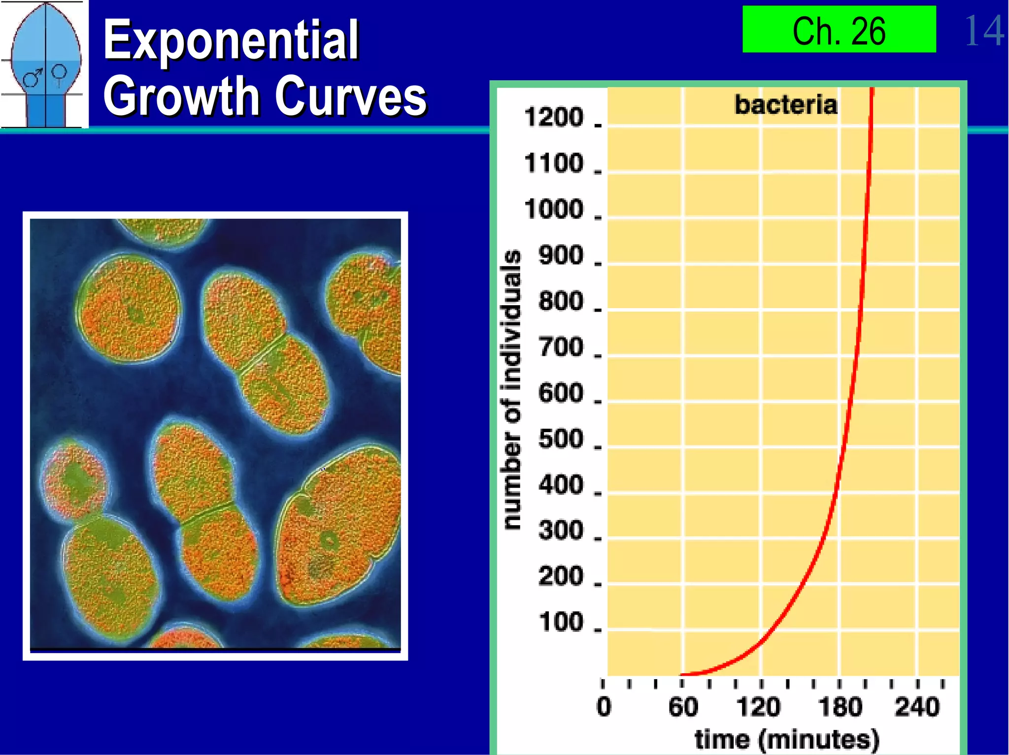 Exponential Growth Curves 