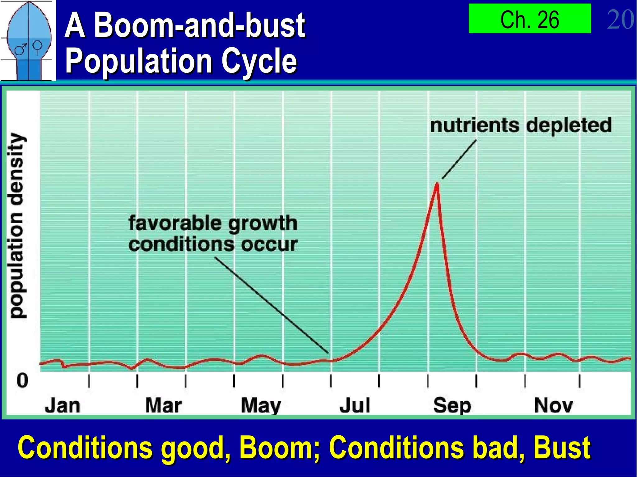 A Boom-and-bust Population Cycle Conditions good, Boom; Conditions bad, Bust 
