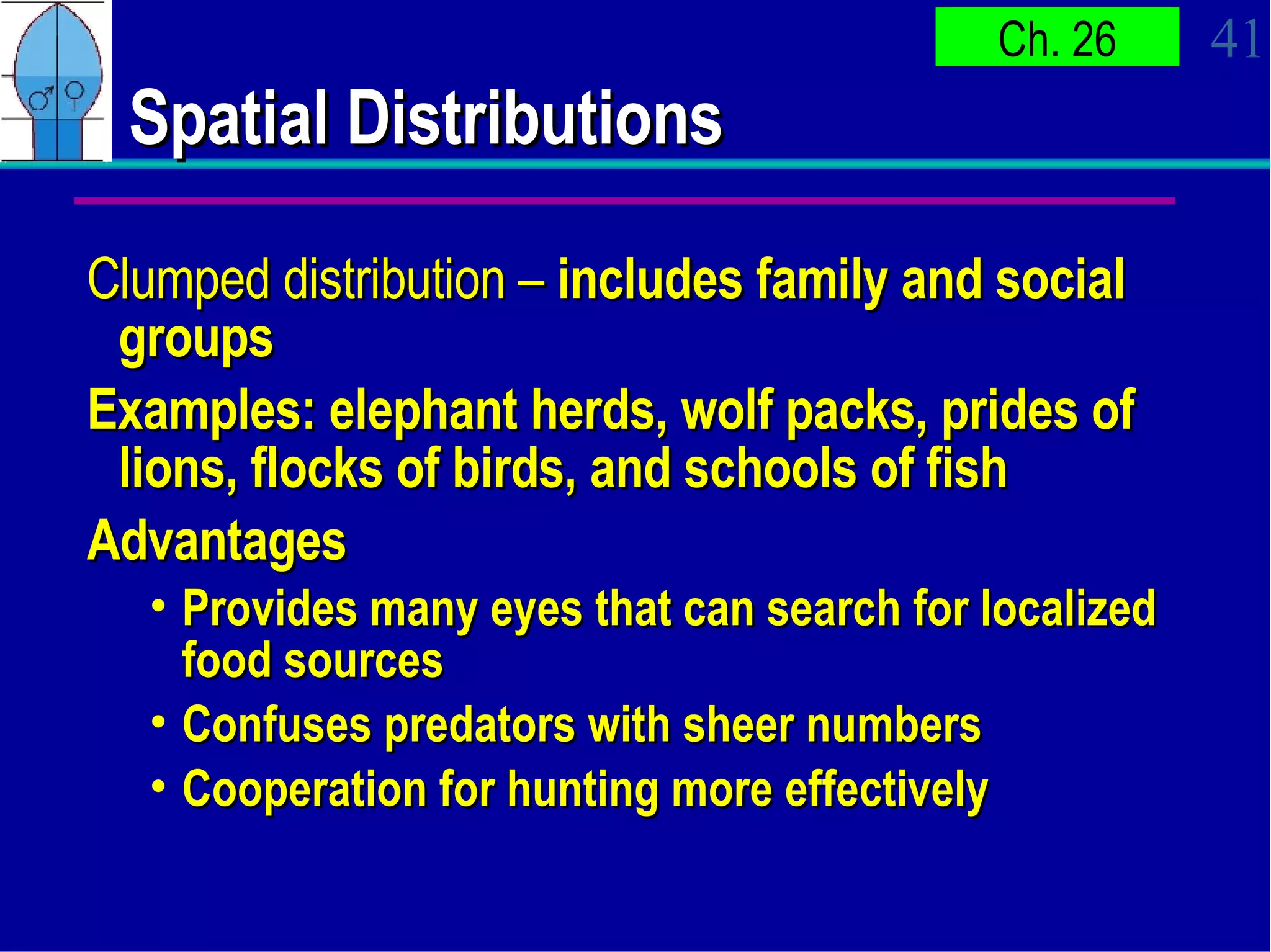 Spatial Distributions  Clumped distribution –  includes family and social groups  Examples: elephant herds, wolf packs, prides of lions, flocks of birds, and schools of fish Advantages Provides many eyes that can search for localized food sources Confuses predators with sheer numbers Cooperation for hunting more effectively 