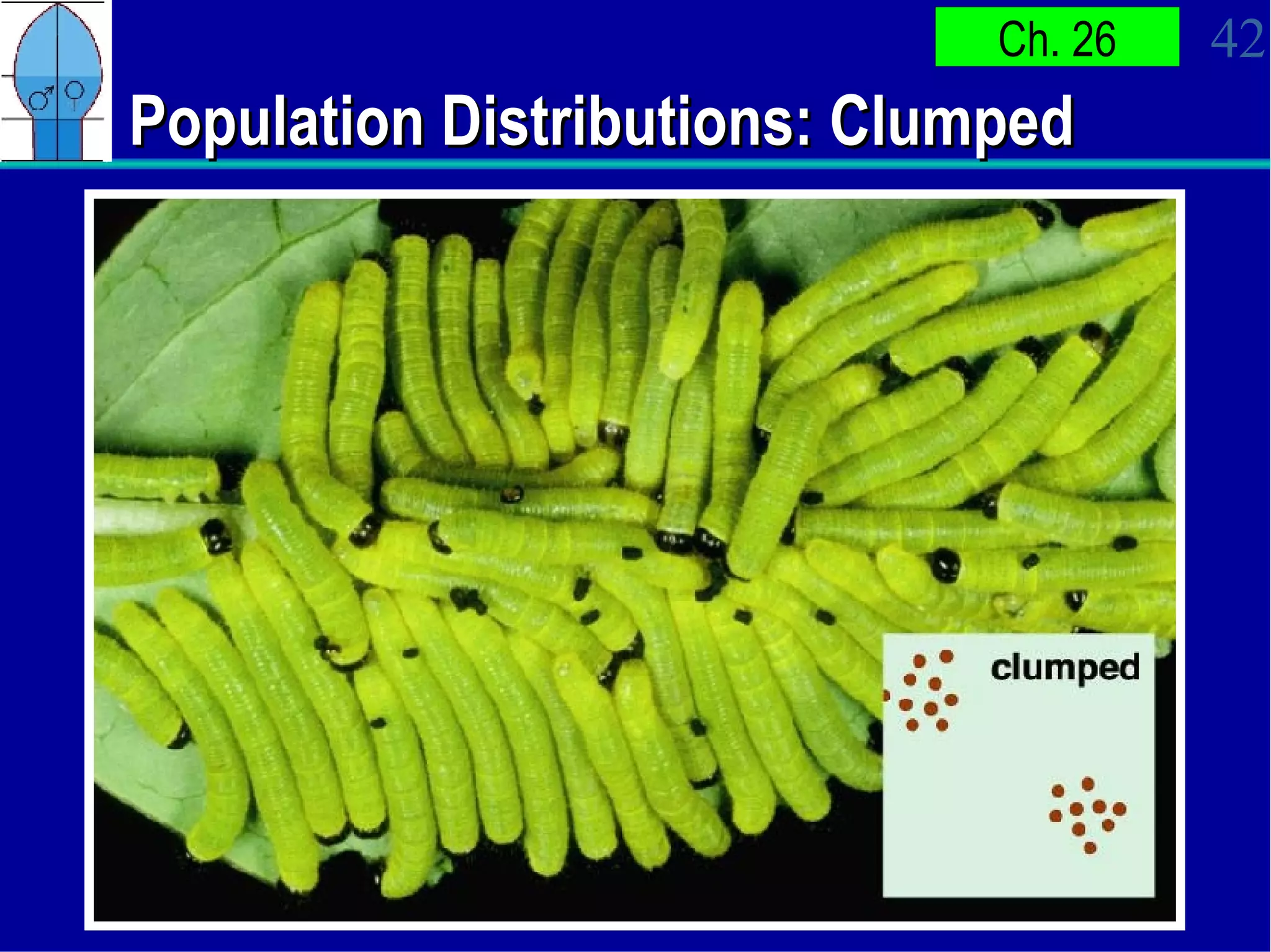 Population Distributions: Clumped 