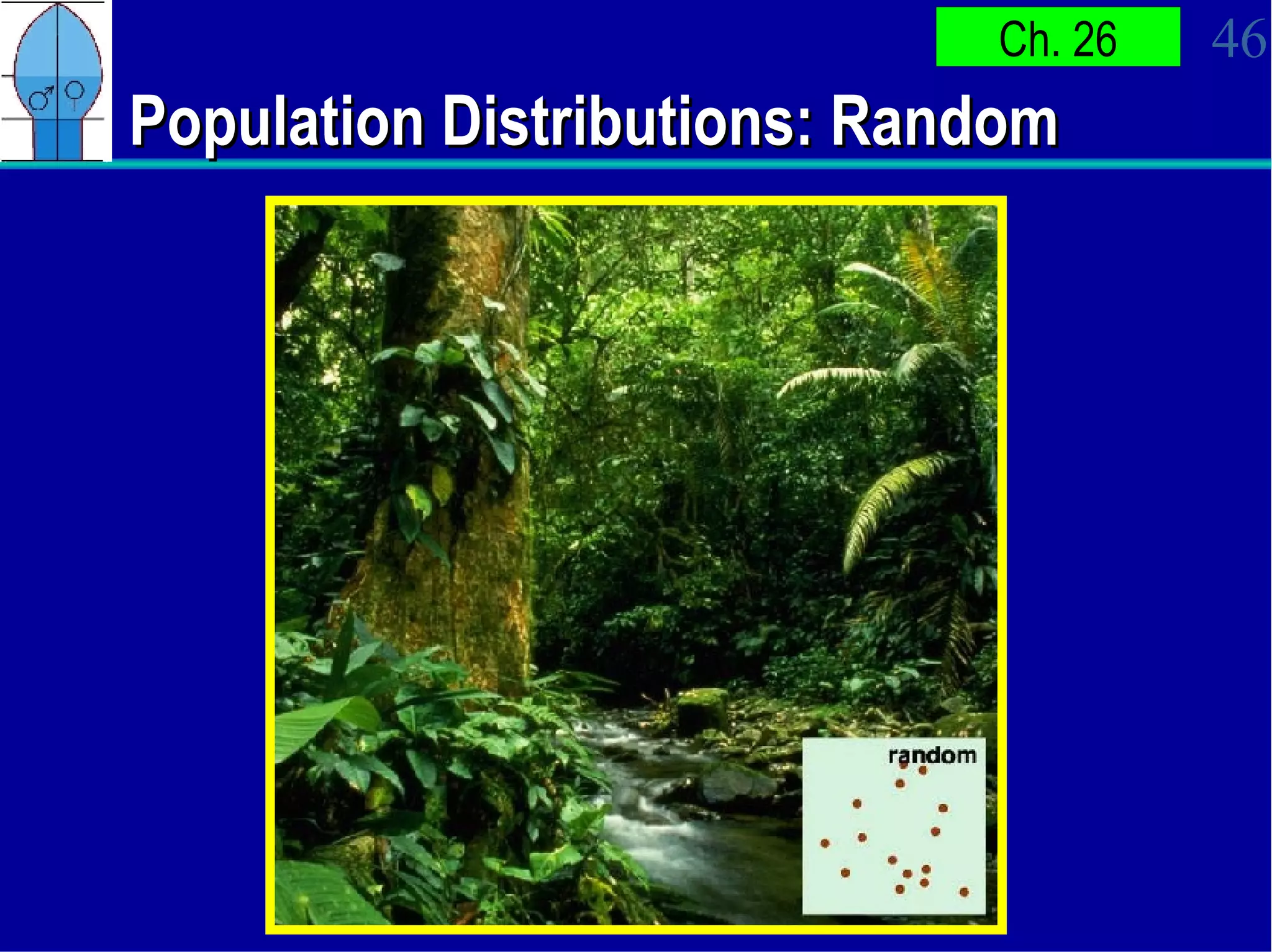 Population Distributions: Random 