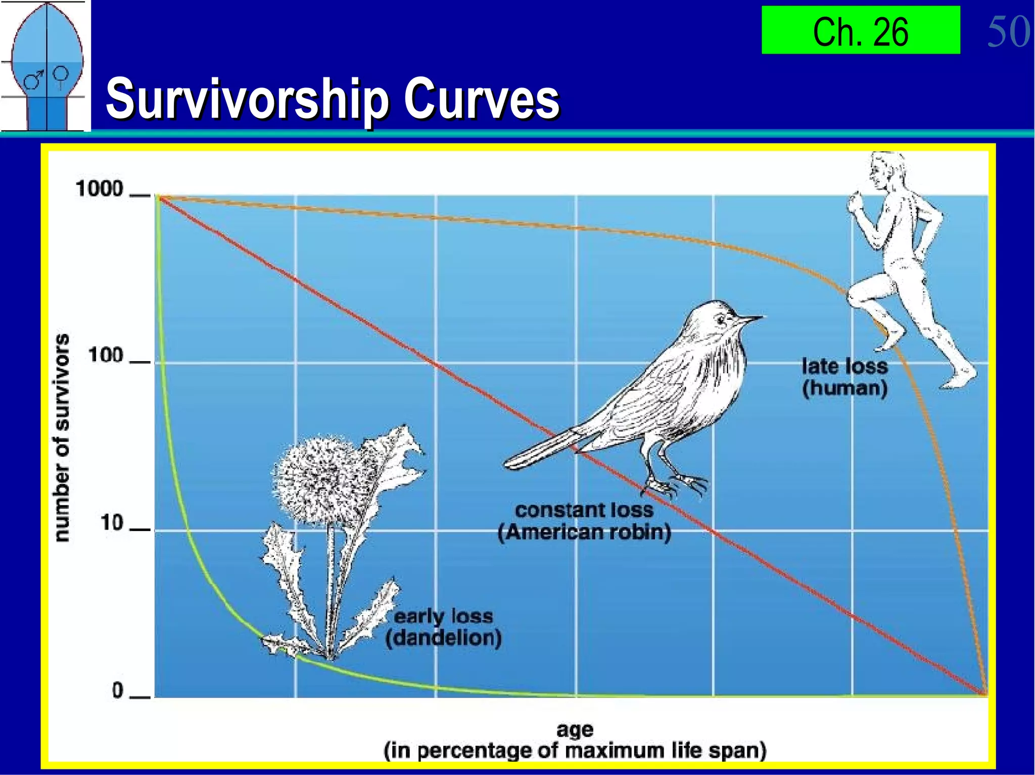 Survivorship Curves 