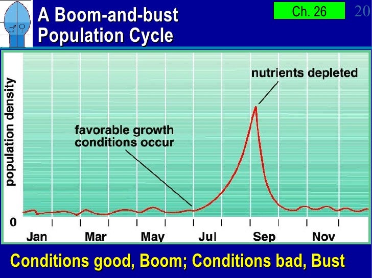 Population Growth APBio