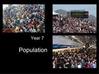Population Year 7 
