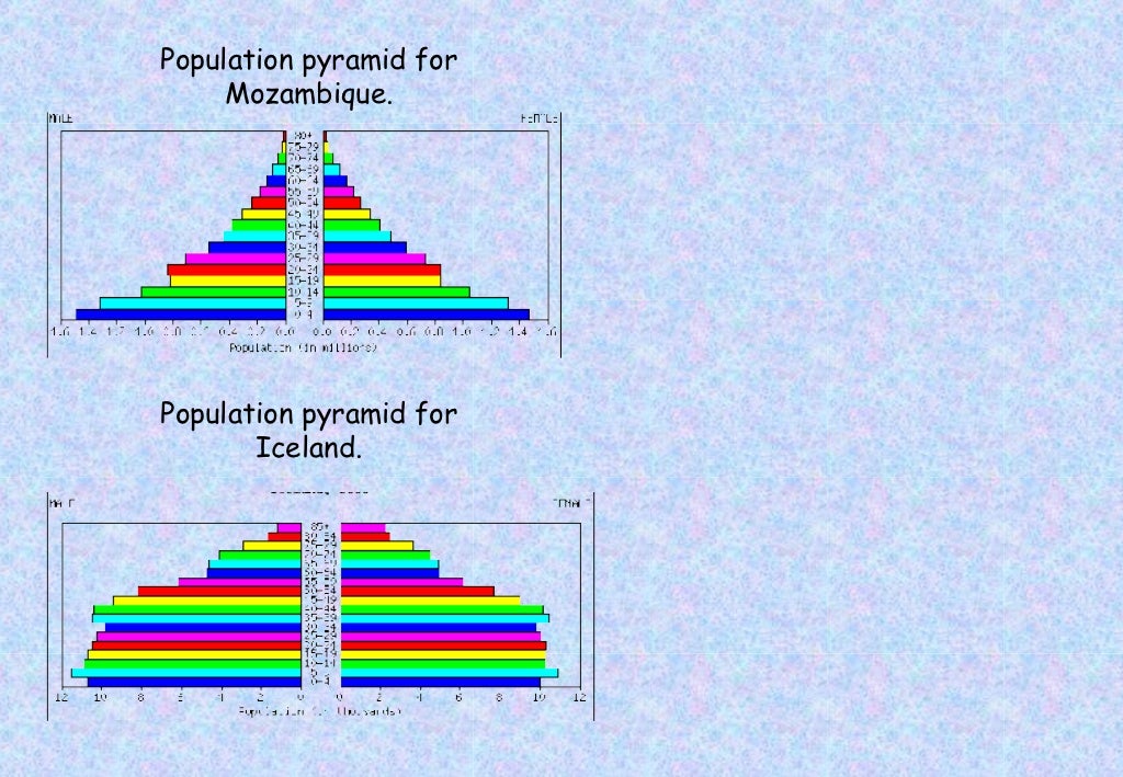 Different Types Of Population Pyramids