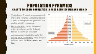 POPULATION PYRAMIDS
CHARTS TO SHOW POPULATION IN AGES BETWEEN MEN AND WOMEN
• Vertical Axis: Shows the age groups of
males and females. Each group covers
5 years starting with 0-4 years old, and
ending with 85+ years old.
• Horizontal Axis: Shows the sexes-
males are shown on the left and
female is shown on the right.
• Age groups are divided by color for
young, adult, and elderly. They are also
referred to as the base, trunk, and
top.
 
