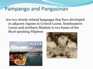 Pampango and Pangasinan Are two closely-related languages that have developed in adjacent regions in Central Luzon. Southeastern Luzon and northern Masbate is two home of the Bicol-speaking Filipinos 