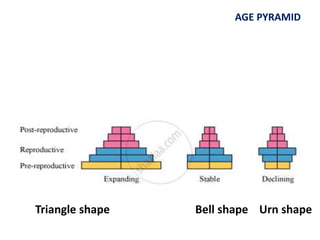 Population attributes | PPTX