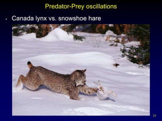 Predator-Prey oscillations
•   Canada lynx vs. snowshoe hare




                                           25
 