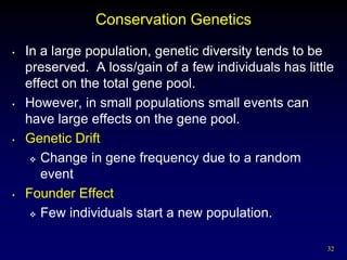 Conservation Genetics
•   In a large population, genetic diversity tends to be
    preserved. A loss/gain of a few individuals has little
    effect on the total gene pool.
•   However, in small populations small events can
    have large effects on the gene pool.
•   Genetic Drift
      Change in gene frequency due to a random

       event
•   Founder Effect
      Few individuals start a new population.



                                                        32
 