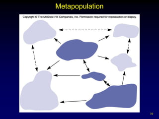 Metapopulation




                 39
 