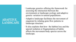 Adaptive Landscape Examples POPULATION BOTTLENECKS, MIGRATION, GENETIC FITNESS, SPACIAL VARIATION ...