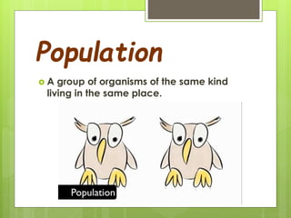 Population
 A group of organisms of the same kind
living in the same place.
 