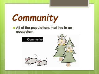 Community
 All of the populations that live in an
ecosystem
 