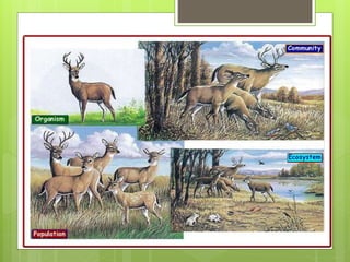 Population&community