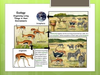 Population&community