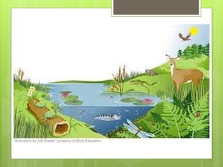 Population&community