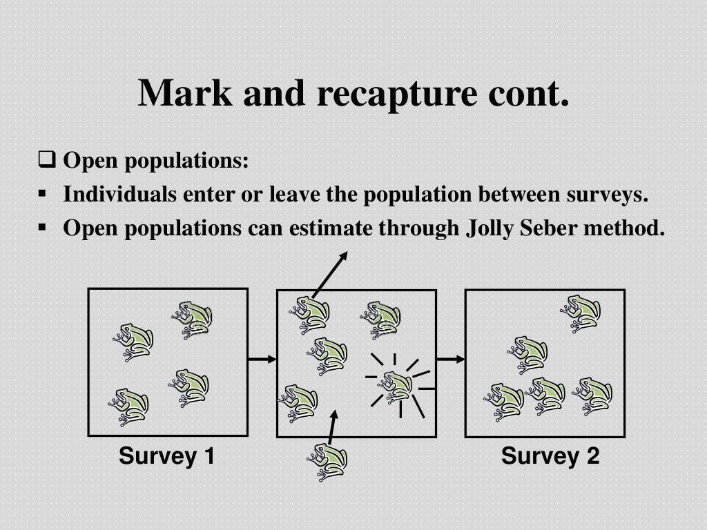 Population counting method line transect, point count, mark and recap…