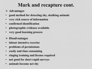 Mark and recapture cont.
 Advantages
• good method for detecting shy, skulking animals
• very rich source of information
• confirmed identification
• photographic evidence available
• very good learning process
 Disadvantages
• labour intensive exercise
• problems of permissions
• costly and time consuming
• ringing training and license required
• not good for short rapid surveys
• animals become net shy
 