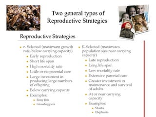 Two general types of Reproductive Strategies   