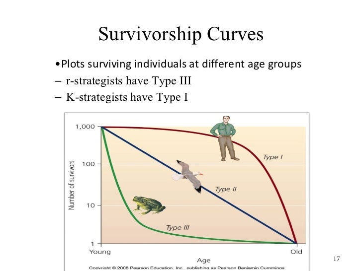population dynamics