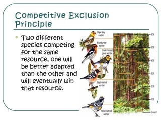 Competitive Exclusion
Principle
 Two different
species competing
for the same
resource, one will
be better adapted
than the other and
will eventually win
that resource.
 