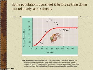 Some populations overshoot K before settling down
to a relatively stable density
Figure 52.13b
180
150
0
120
90
60
30
Time (days)
0 160
140
120
80 100
60
40
20
Number
of
Daphnia/50
ml
(b) A Daphnia population in the lab. The growth of a population of Daphnia in a
small laboratory culture (black dots) does not correspond well to the logistic
model (red curve). This population overshoots the carrying capacity of its artificial
environment and then settles down to an approximately stable population size.
 
