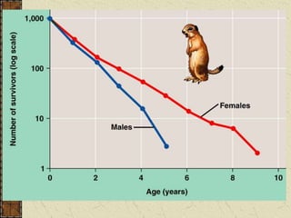 Population dynamics