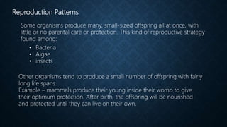 Population dynamics | PPTX