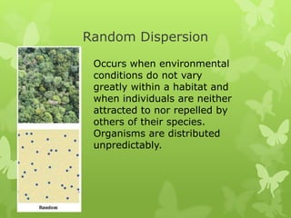 Population dynamics presentation | PPTX