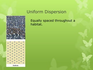 Population dynamics presentation | PPTX