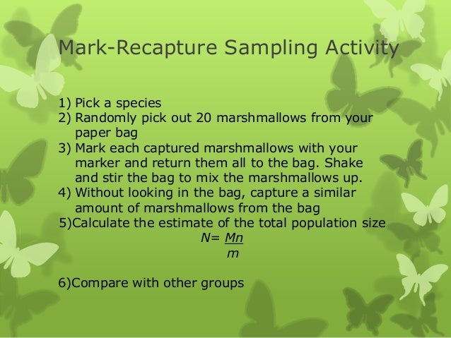 Population dynamics presentation