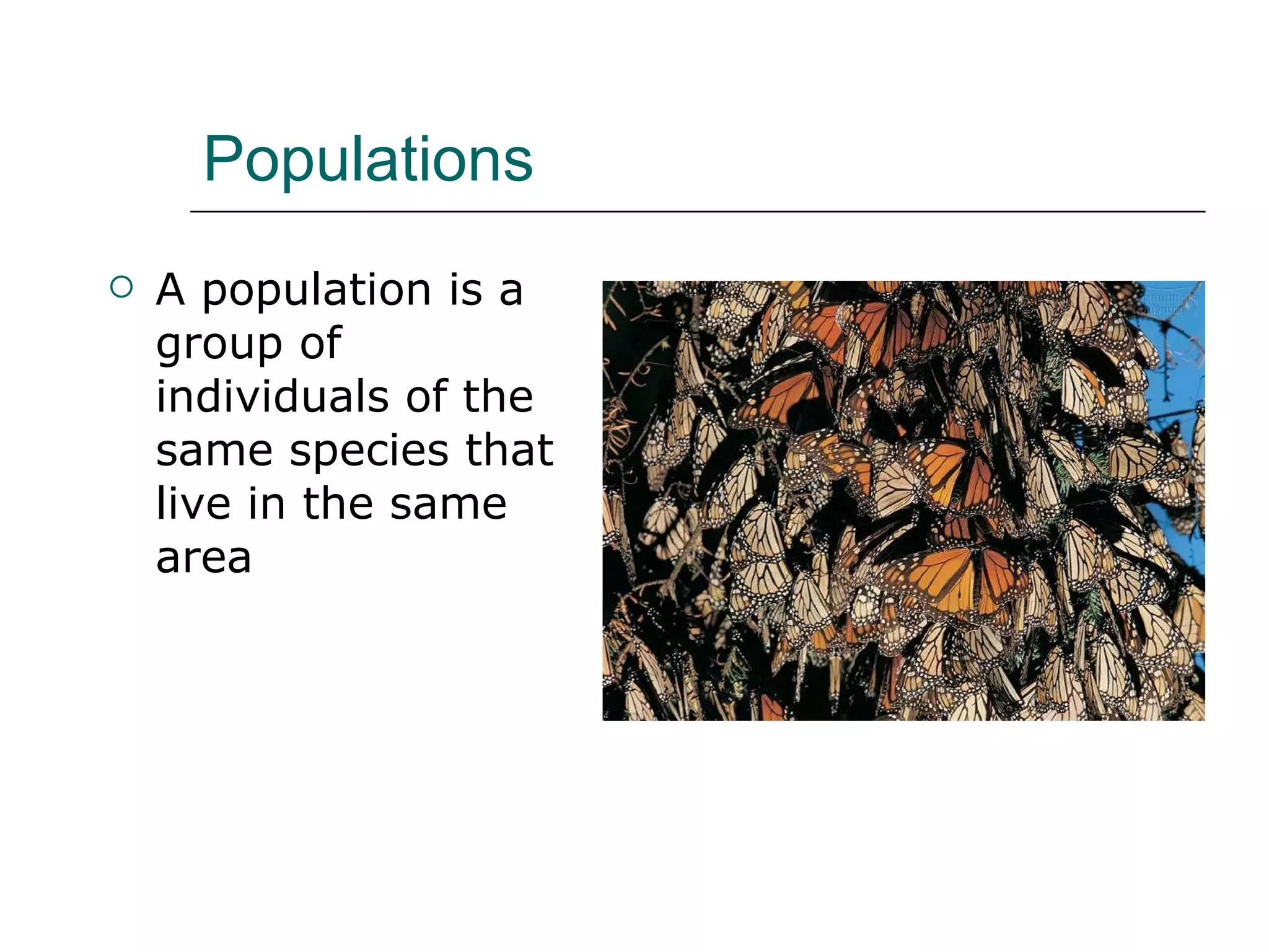 Population ecology | PPT