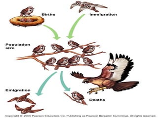 Population Ecology