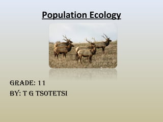 Population Ecology
Grade: 11
By: T G TsoTeTsi
 