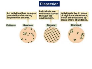 Dispersion
 