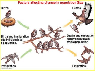 Factors affecting change in population Size
 