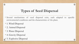 Population Ecology (Seed Bank and Seed Dispersal) | PPTX