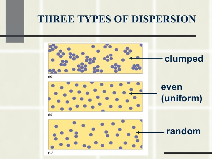 dispersio patters of of orgaisms dispersio patters of of orgaisms