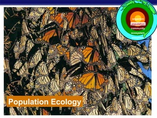 AP Biology
Population Ecology
population
ecosystem
community
biosphere
organism
 