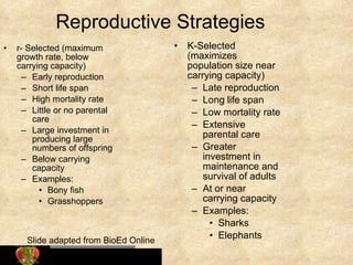 Reproductive Strategy Example Population ecology ch 53 | PPT