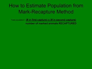 Mark Capture Population ecology intro | PPTX