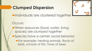 Population Ecology Notes | PPTX