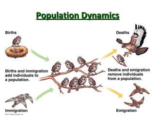 PopulationPopulation DynamicsDynamics
 