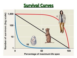 Survival CurvesSurvival Curves
 