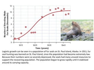 Logistic growth can be seen in a population of fur seals on St. Paul Island, Alaska. In 1911, fur
seal hunting was banned on St. Paul Island, since the population had become extremely low.
Because their numbers were so severely depressed, the seals had many unused resources to
support the recovering population. The population began to grow rapidly until it stabilized
around its carrying capacity.
 