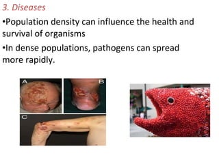 3. Diseases
•Population density can influence the health and
survival of organisms
•In dense populations, pathogens can spread
more rapidly.
 