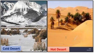 Cold Desert Hot Desert
 