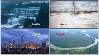 Alaska Siberia
Java Amazon
 