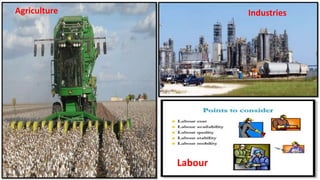 Agriculture Industries
Labour
 